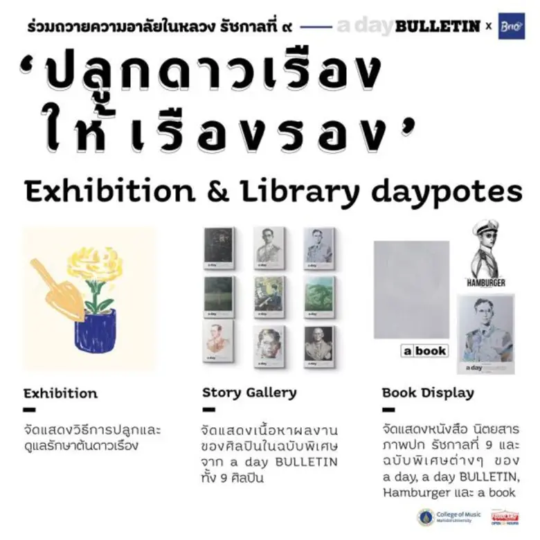 ปลูกดาวเรืองให้เรืองรอง ถวายความอาลัย ในหลวงรัชกาลที่ ๙