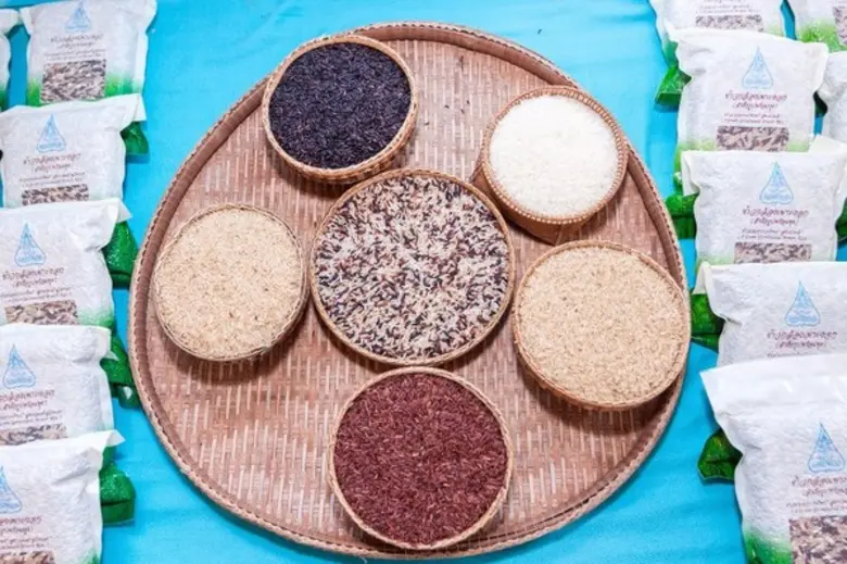 โครงการริเริ่มข้าวที่ดีขึ้นแห่งเอเชีย (เบ...