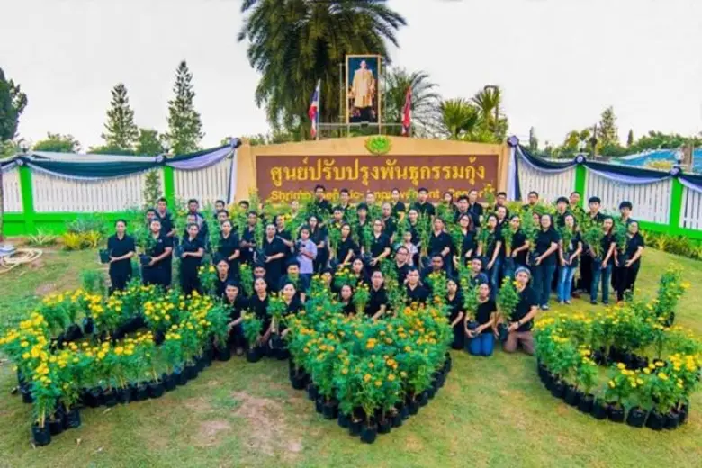 เครือซีพี-ซีพีเอฟร้อยดวงใจปลูกดาวเรืองให้บานสะพรั่ง ถวายพระราชกุศลแด่ในหลวงรัชกาลที่ 9