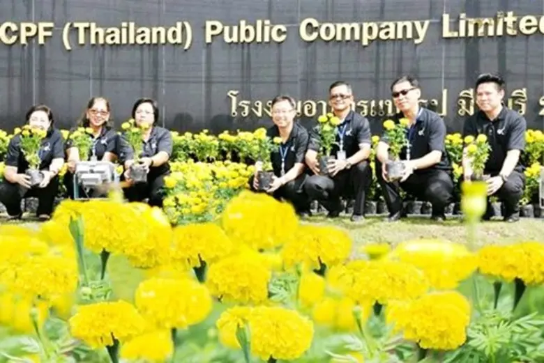 เครือซีพี-ซีพีเอฟร้อยดวงใจปลูกดาวเรืองให้บานสะพรั่ง ถวายพระราชกุศลแด่ในหลวงรัชกาลที่ 9