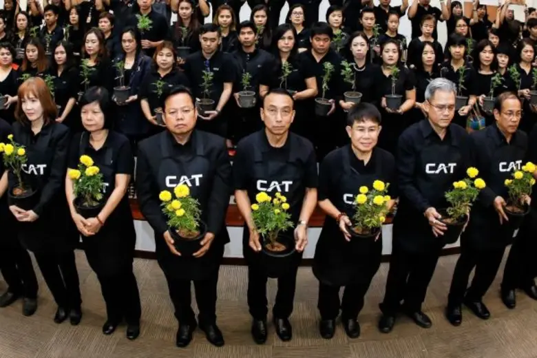 CAT ร้อยดวงใจ “ปลูกดาวเรือง” ถวายในหลวง รัชกาลที่ 9