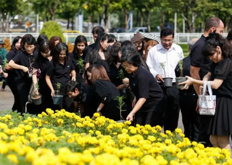 CAT ร้อยดวงใจ “ปลูกดาวเรือง” ถวายในหลวง รัชกาลที่ 9