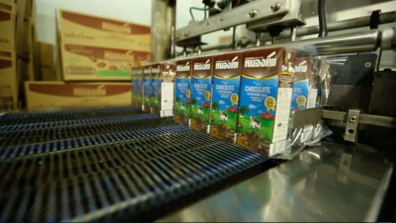 อาชีพพระราชทาน ใน หนองโพ ๙ ตามพระราชปณิธาน สานต่ออาชีพที่พ่อให้