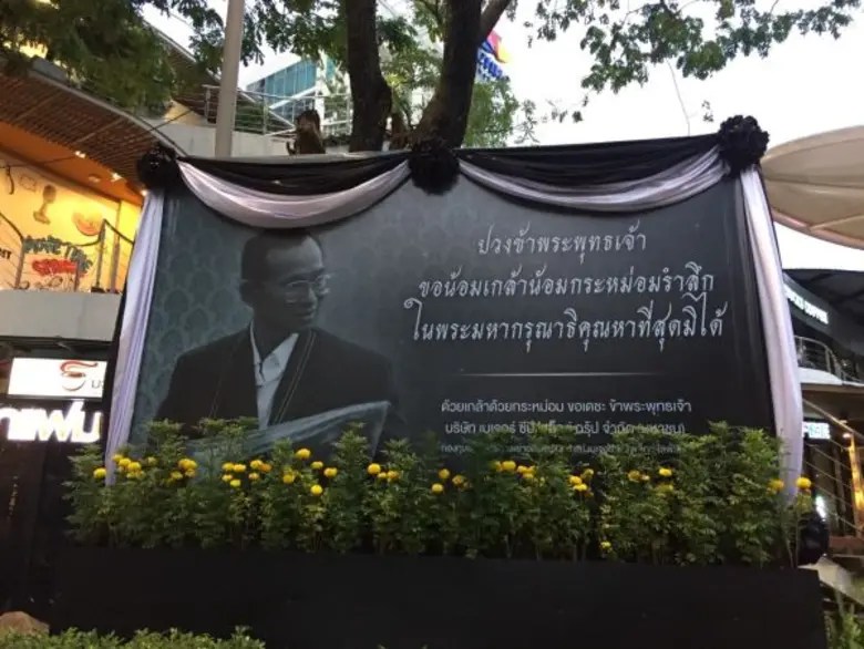 บริษัท เมเจอร์ ซีนีเพล็กซ์ กรุ้ป จำกัด (ม...