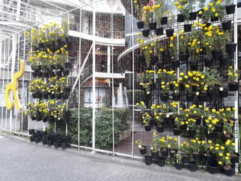 เมเจอร์ ซีนีเพล็กซ์ กรุ้ป ร่วมแสดงความอาลัย เนื่องในวันคล้ายวันเสด็จสวรรคต  พระบาทสมเด็จพระปรมินทรมหาภูมิพลอดุลยเดช บรมนาถบพิตร โดยยืนสงบนิ่งไว้อาลัยเป็นเวลา 89 วินาที ในเวลา 15.52 น.