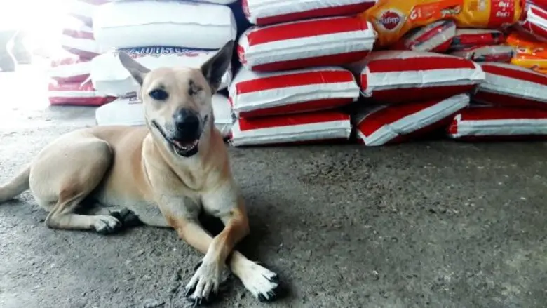 เอิร์น-จิรวรรณ น้อมนำคำสอน ร.๙ ยึดเป็นแนวทางดำเนินชีวิต