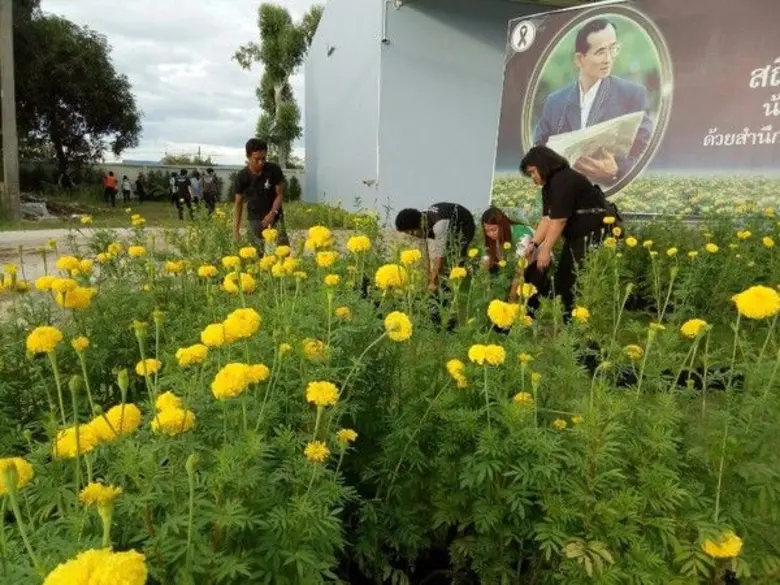 คณะผู้บริหาร และพนักงาน ในเครือ ฮั้วเฮงหล...