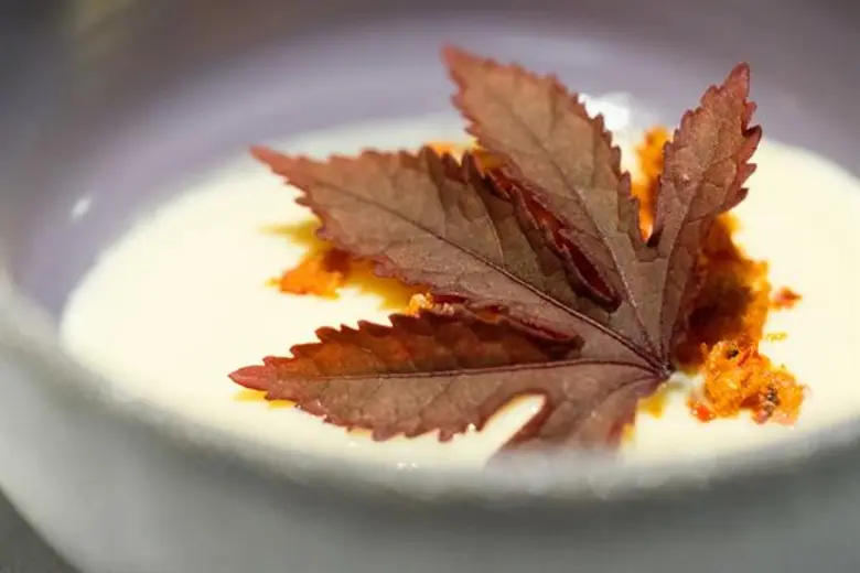 ซานเปลเลกรีโน และอัคควา ปันนา ภูมิใจเสนออาหารมื้อพิเศษ โดยเชฟต้น แห่งห้องอาหาร Le Du วันที่ 17 และ 18 พฤศจิกายน 2560 ณ ห้องอาหาร PRU, ตรีสรา จ.ภูเก็ต