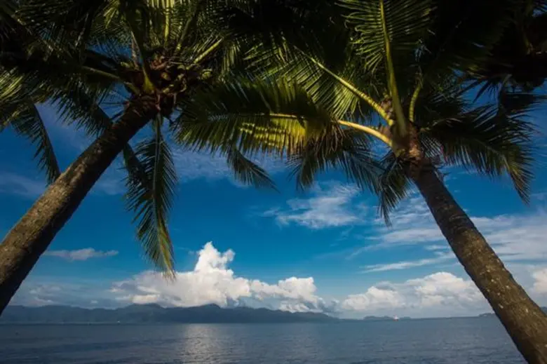 ททท. ชวนช้อปผลิตภัณฑ์และแพ็คเกจท่องเที่ยววิถีชุมชน ในงานไทยเที่ยวไทย ครั้งที่ 45 วันที่ 2 – 5 พฤศจิกายนนี้