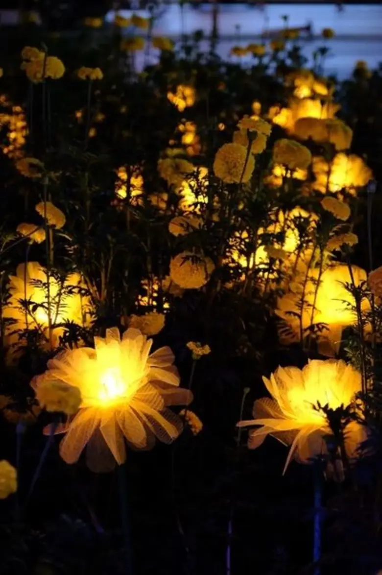 ประดับดอกดาวเรือง