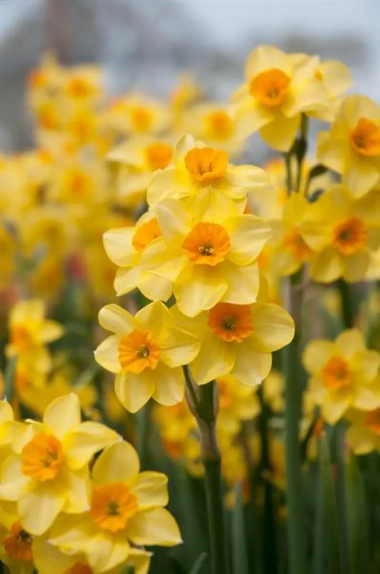 ศูนย์การค้าเซ็นทรัลพลาซา เชียงใหม่ แอร์พอ...