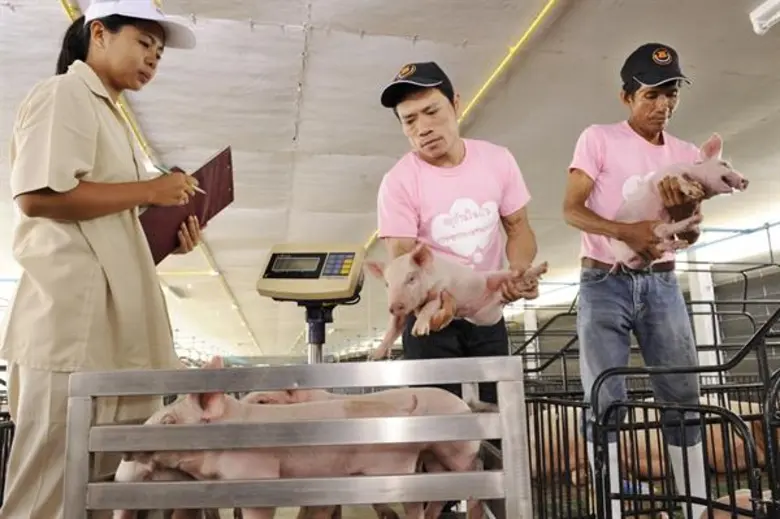 มูลนิธิพัฒนาชีวิตชนบทฯ เครือซีพี และซีพีเอฟ น้อมนำศาสตร์พระราชาร่วมพัฒนาสังคมไทย