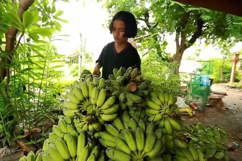 ทีวีไกด์: รายการ “สานรัก คนเก่งหัวใจแกร่ง” วันอาทิตย์ที่ 29 ตุลาคม 2560 ทางแอป AIS PLAY, AIS PLAYBOX และ Youtube sarnrakais