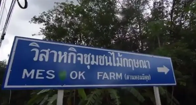 จากปลูกป่าช่วยชาติ...สู่ไม้กฤษณาออนไลน์