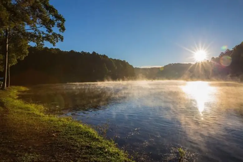 ดีเจเฟี้ยต ปลื้มใจครั้งหนึ่งได้เยือนปางอุ๋งหนึ่งในโครงการพระราชดำริ จากสถานที่ปลูกฝิ่น กลายเป็นแหล่งปลูกพืชสร้างรายได้ให้ชุมชน