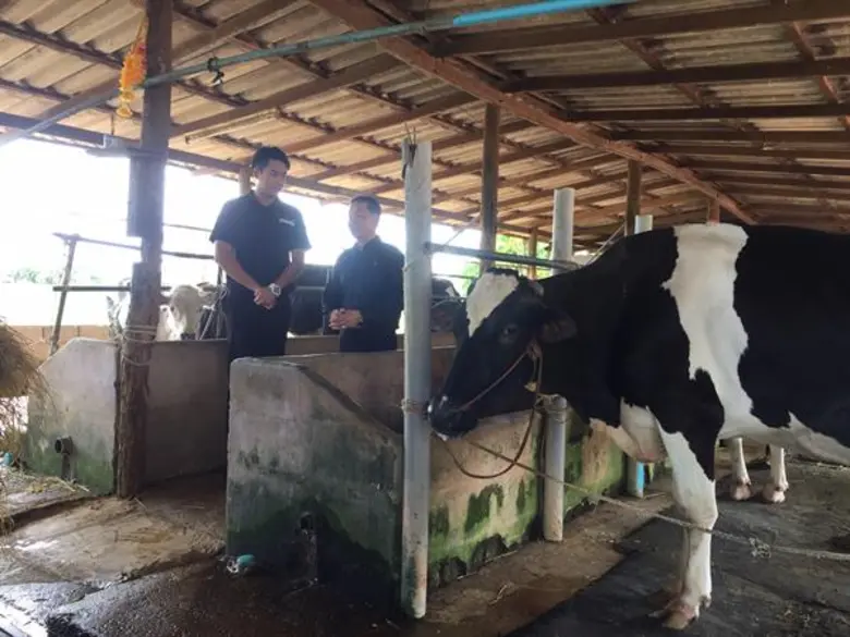สานต่ออาชีพที่พ่อให้ ใน หนองโพ ๙ ตามพระราชปณิธาน สานต่ออาชีพที่พ่อให้