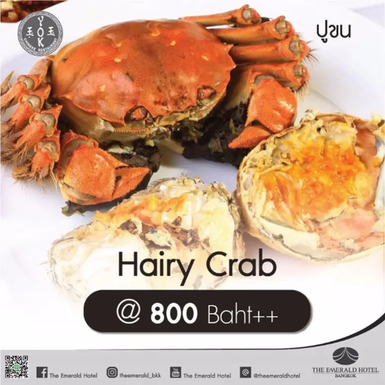 ฤดูปูขนได้เวียนมาบรรจบอีกครั้งหนึ่ง ท่านไ...