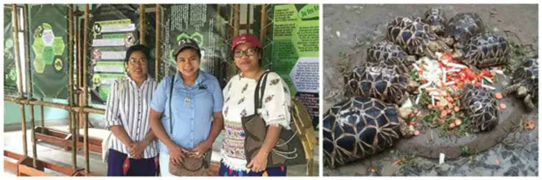 Khiri Reach, the charitable arm of Khiri ...