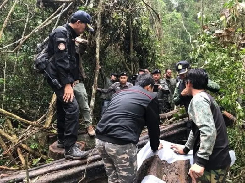 พยัคฆ์ไพรสู้ไม่ถอย ขยายผลกลุ้มขบวนการลักลอบค้าไม้พะยูงข้ามชาติ