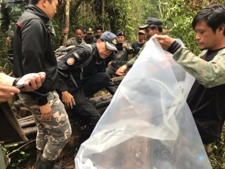 พยัคฆ์ไพรสู้ไม่ถอย ขยายผลกลุ้มขบวนการลักลอบค้าไม้พะยูงข้ามชาติ