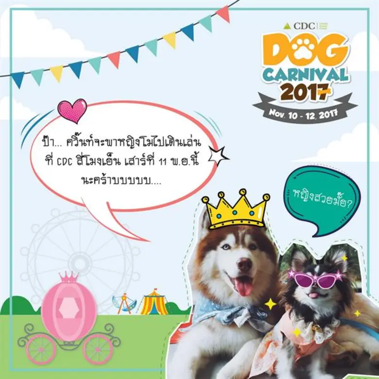 คนรักสุนัข ปักหมุดรอ!!