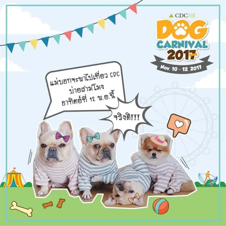 คนรักสุนัข ปักหมุดรอ!!