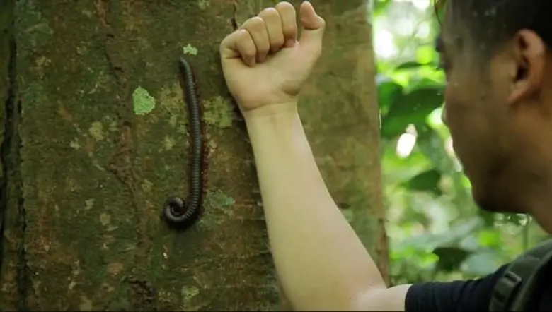 จ๊อบ – นิธิ สมุทรโคจร แท็กทีมเพื่อนร่วมโค...