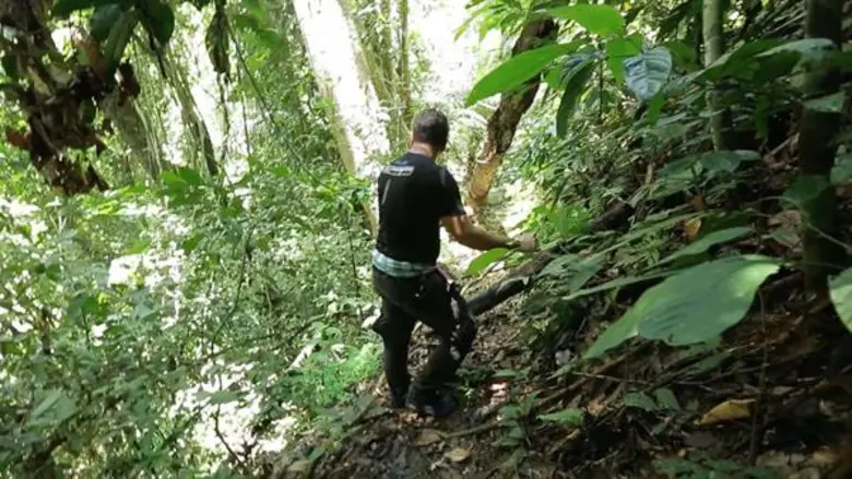 ทีวีไกด์: รายการ "สมุดโคจร On The Way" ภารกิจพิชิตผืนป่าฮาลาบาลา อเมซอนแห่งอาเซียน ใน สมุดโคจร On The Way