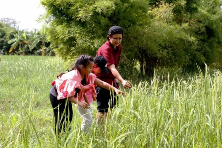 “ปฐม” จัดทริป ตะลุยสวน “พาคนกินคนปลูก” สำรวจต้นทางการผลิตอาหารอินทรีย์