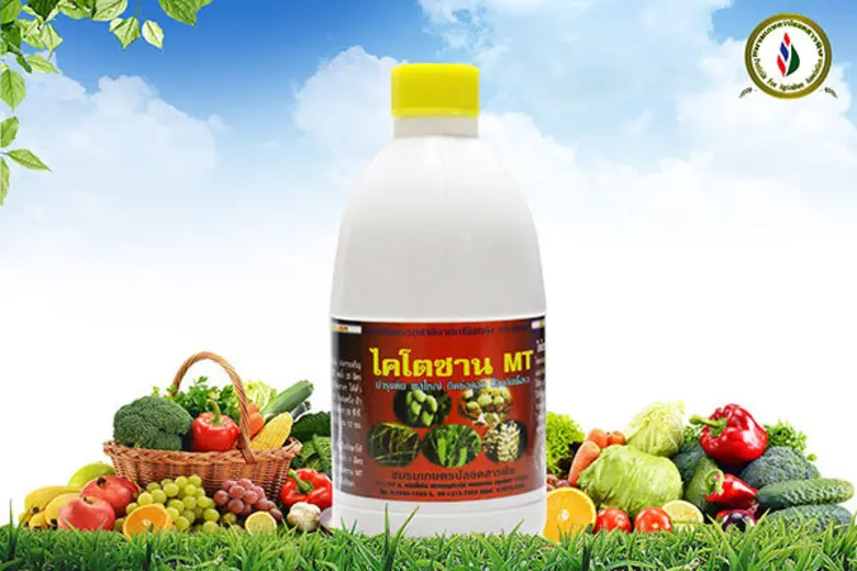 ชมรมเกษตรปลอดสารพิษ ภายใต้บริษัท ไทยกรีน ...