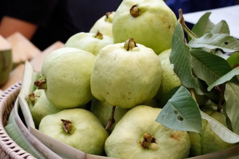 “ปฐม” เปิดพื้นที่สีเขียว ชวนคนกรุงสัมผัสวิถีเกษตรอินทรีย์
