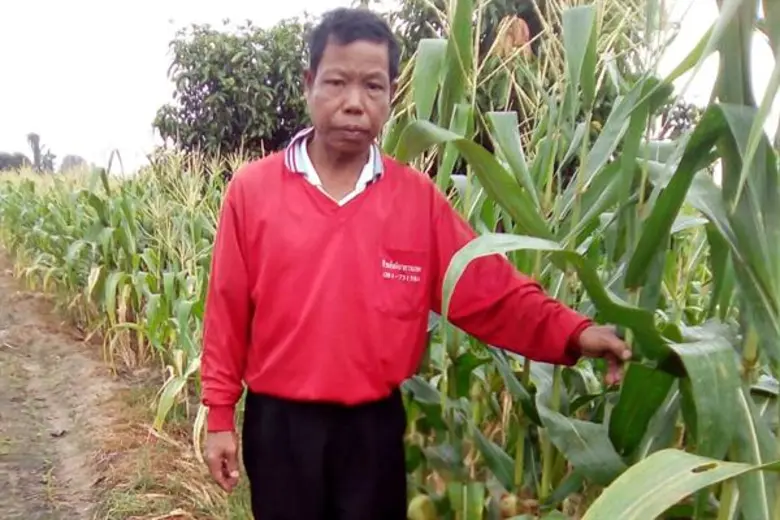 บริษัท เจริญโภคภัณฑ์อาหาร จำกัด (มหาชน) ห...