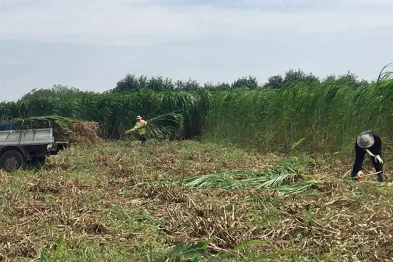 ซีพีเอฟดันโครงการปันน้ำปุ๋ยสู่ชุมชนต่อเนื่อง ช่วยเกษตรกรสร้างผลผลิตคุณภาพ-ลดต้นทุน-สร้างรายได้เพิ่ม