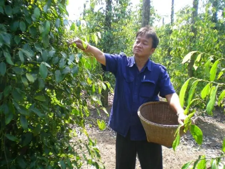 ซีพีเอฟดันโครงการปันน้ำปุ๋ยสู่ชุมชนต่อเนื่อง ช่วยเกษตรกรสร้างผลผลิตคุณภาพ-ลดต้นทุน-สร้างรายได้เพิ่ม