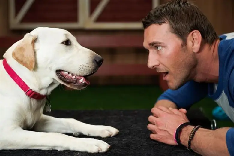 Lucky Dog SEASON 1 ติดตามพิธีกรระดับรางวั...