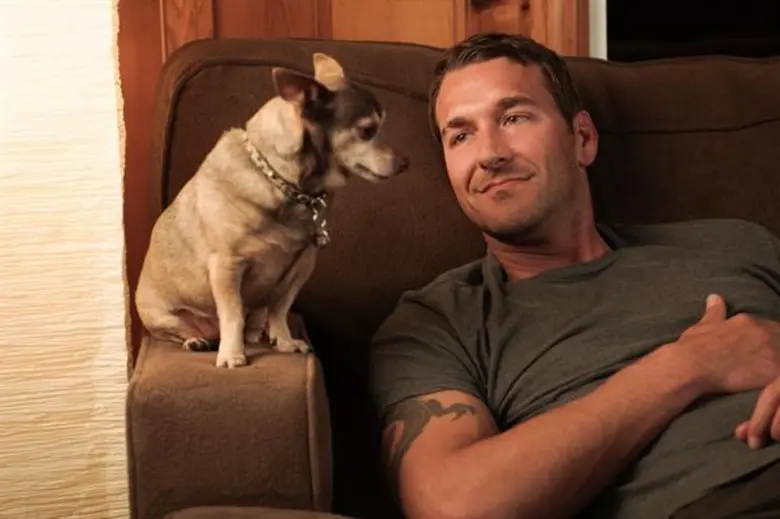 โปรแกรมเด่นทางช่องอาร์ทีแอล ซีบีเอส เอ็นเตอร์เทนเมนท์ - Lucky Dog