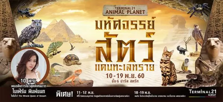 ศูนย์การค้าเทอร์มินอล 21 โคราช เชิญชวนชาว...