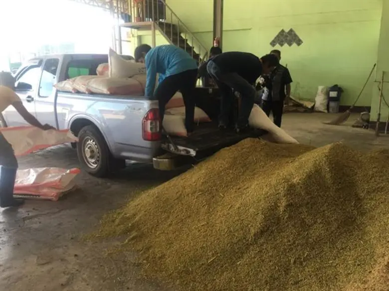 สหกรณ์ในจังหวัดนครพนมเข้าร่วมโครงการสินเชื่อเพื่อรวบรวมข้าวและสร้างมูลค่าเพิ่มฯ เริ่มเปิดจุดรับซื้อข้าวคึกคัก