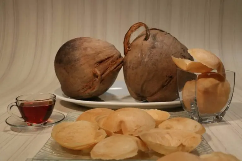 บริษัท บอร์น แอนด์ แอสโซซิเอทต์ จำกัด ร่ว...