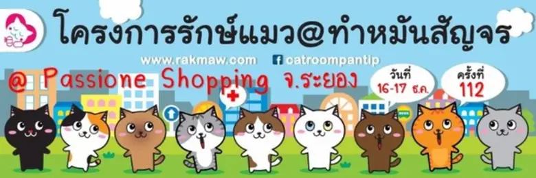 กิจกรรมทำหมันสัญจรของโครงการรักษ์แมว ปันน...