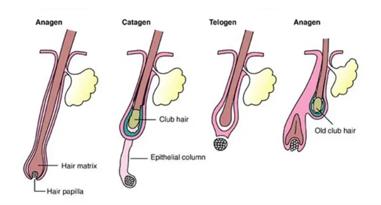โดย : พญ. ชินมนัส ตั้งจาตุรนต์รัศมี ประชา...