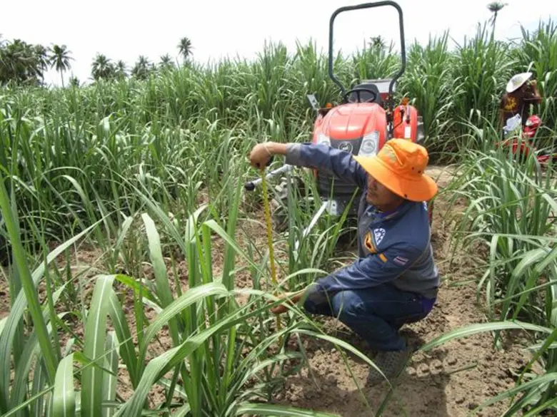 นักวิจัย มทร.ธัญบุรี เจ๋ง คว้ารางวัลเหรียญทองและรางวัลพิเศษ INOVA BEST CIVIL ENGINEERING INVENTION ที่โครเอเชีย