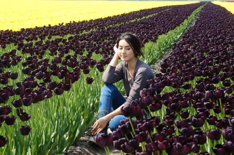 “มะนาว” ห้าว สาวแกร่ง สายลุย พยานคนสำคัญใน “ทิวลิปทอง”