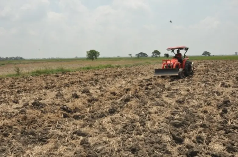 กรมส่งเสริมการเกษตรเชิญชวนชาวนาเข้าร่วม โ...