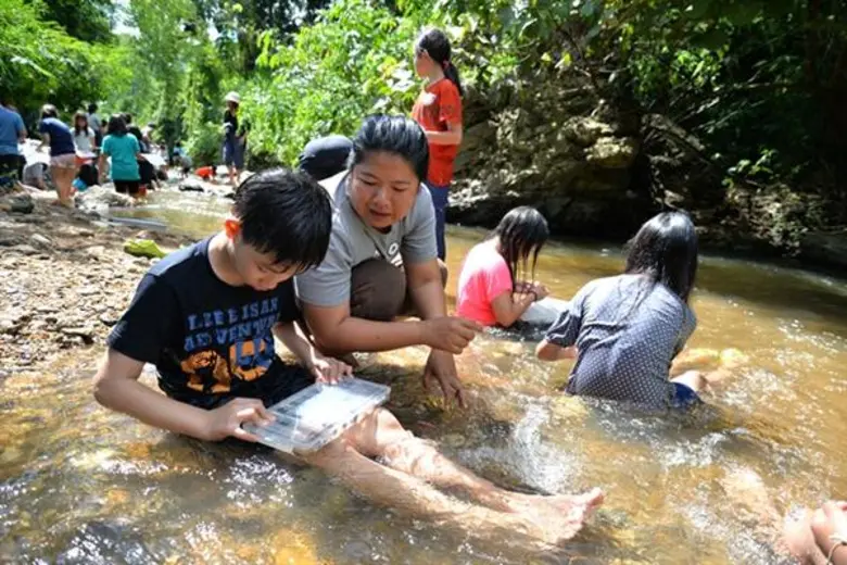 “WoodWood” พื้นที่ใหม่สำหรับทุกคนในครอบครัว ที่แรกที่เดียวในประเทศไทยกับ Family-Outing-Music ณ สวนผึ้ง ราชบุรี