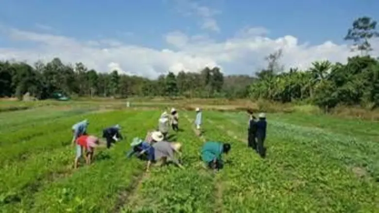 เกษตร ขับเคลื่อนความมั่นคงด้านอาหาร เพื่อแก้ปัญหาการขาดแคลนอาหาร