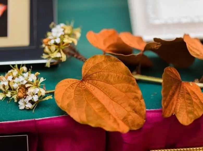 กรมการพัฒนาชุมชน จับมือม. ศิลปากรติดปีกผู้ประกอบการไทย ใส่ดีไซน์ใหม่สู่ใบไม้สีทองของดี3จังหวัดภาคใต้