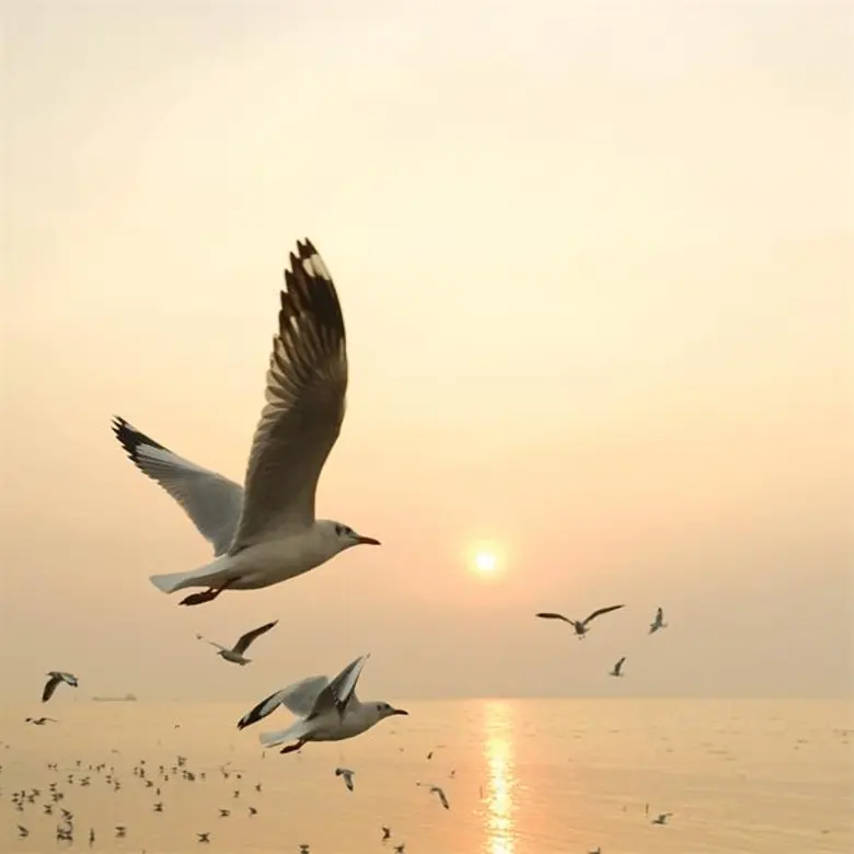 เดอะ ริชแมน ทอย หายไป 5 ปี กลับมาที จัดเต็ม เพลงและอัลบั้ม ชื่อเดียวกัน “ตะวันเลียตูด”