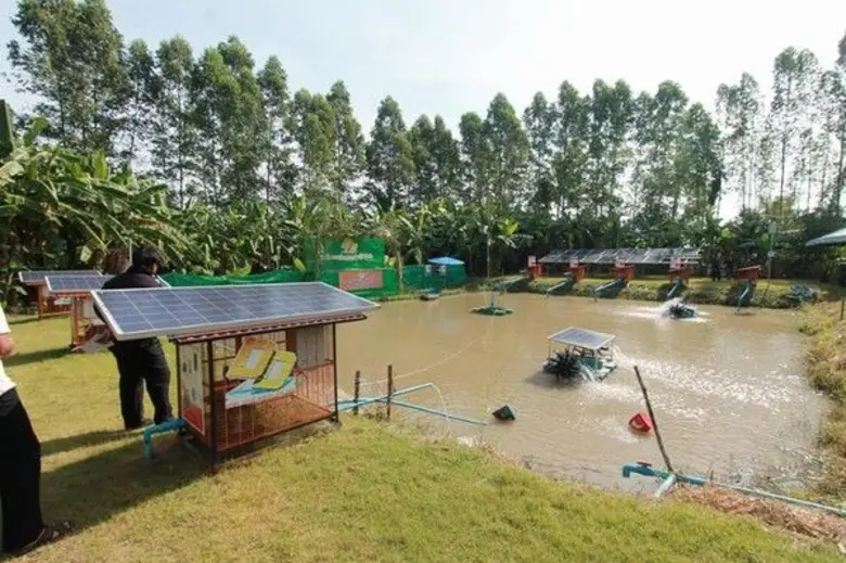 เมื่อวันที่ 18 พฤศจิกายน 2560 ที่ผ่านมา น...