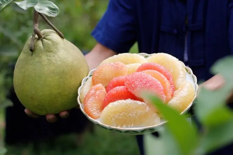 ททท.จับมือ มูลนิธิสังคมสุขใจ ภาคีเครือข่าย จัดงานสังคมสุขใจ ปลุกพลังผู้บริโภคตื่นรู้ –ฉลาดเลือก อาหารปลอดภัย